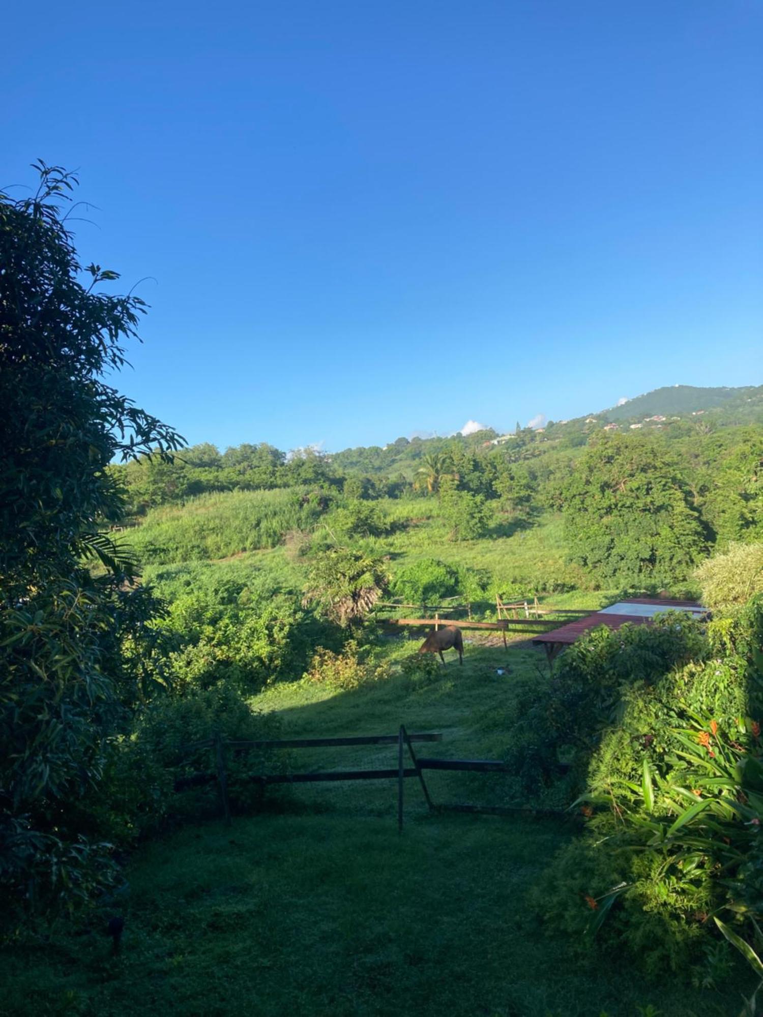 Grand T2 Tout Confort , Emplacement Ideal Riviere-Salee Exterior foto